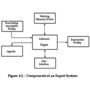 Largely as an offshoot of AI, expert systems are an attempt to capture the knowledge of human experts in specialized domains, using logic-based inferential systems.